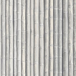 Galerie Wallcoverings Product Code G67942 - Organic Textures Wallpaper Collection - Grey Colours - Bamboo Design