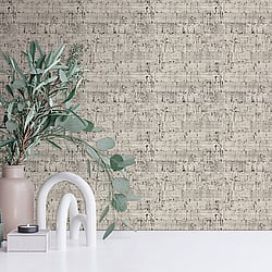 Galerie Wallcoverings Product Code NHW1026 - Enchanted Wallpaper Collection - Grey Silver Colours - Suber Silver Design