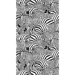 Galerie Wallcoverings Product Code WH45239M - Welcome Home Murals Wallpaper Collection - Black, White Colours - Cluster of Zebras Design