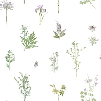 Galerie Wallcoverings Product Code 7342 - Evergreen Wallpaper Collection - Multicolor Colours -  